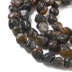 Natural Larvikite Beads Strands&nbsp;GG-CBA9392-24