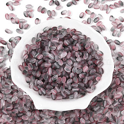 Frosted Glass Seed Beads&nbsp;SEED-N008-05J