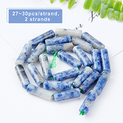 2 Strands Natural Blue Spot Jasper Beads Strands&nbsp;G-OC0001-87