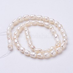 Natural Cultured Freshwater Pearl Beads Strands&nbsp;PEAR-P002-43