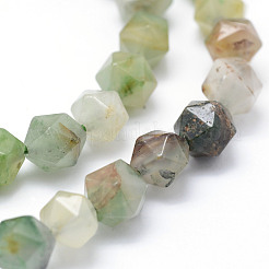 Natural Chrysoprase Beads Strands&nbsp;G-F523-34-10mm