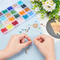 24 Strands 24 Colors Imitate Austrian Crystal Bicone Frosted Glass Beads Strands&nbsp;GLAA-AR0001-58