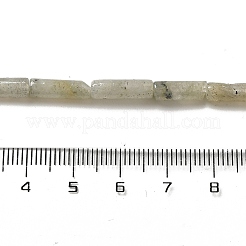 Natural Labradorite Beads Strands&nbsp;G-D464-29