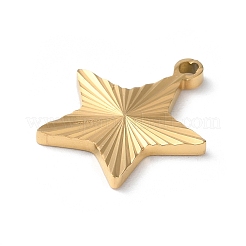 Ion Plating(IP) 304 Stainless Steel Pendants&nbsp;STAS-D025-04G-02
