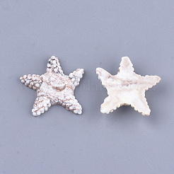 Resin Cabochons&nbsp;RESI-T033-02