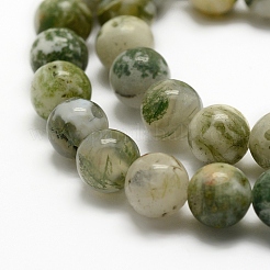 Natural Tree Agate Beads Strands&nbsp;G-G735-02-8mm