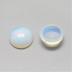 Opalite Cabochons&nbsp;G-R416-8mm-49