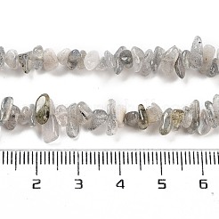 Natural Labradorite Beads Strands&nbsp;G-G0003-B43