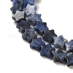 Natural Sodalite Beads Strands&nbsp;G-G085-B18-02
