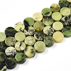 Natural Serpentine Beads Strands&nbsp;G-N346-06A-02