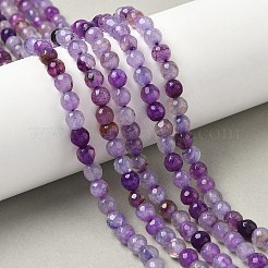 Natural Agate Beads Strands&nbsp;G-C082-A01-55
