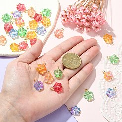 30Pcs 5 Colors Handmade Lampwork Charms&nbsp;PALLOY-CJ0002-66