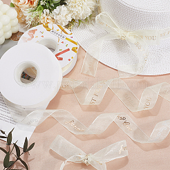 2 Rolls 2 Styles Chiffon Lace Trim for Sewing Decoration&nbsp;OCOR-CY0001-65B