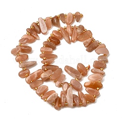 Natural Sunstone Beads Strands&nbsp;G-Z091-A18