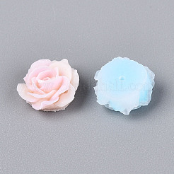 Opaque Resin Beads&nbsp;RESI-N052-01