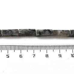 Natural Larvikite Beads Strands&nbsp;G-G873-A04-01