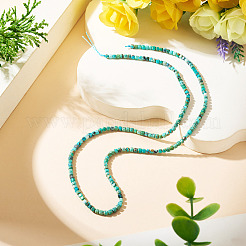 1 Strand Natural HuBei Turquoise Beads Strands&nbsp;G-TA0003-37
