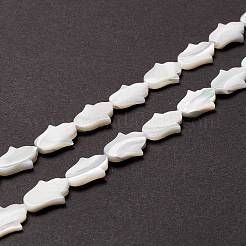 Natural Trochid Shell/Trochus Shell Beads&nbsp;SSHEL-O001-23B