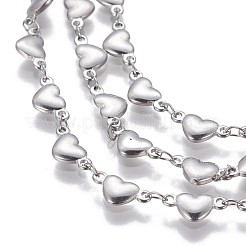 Tarnish Resistant 3.28 Feet 304 Stainless Steel Link Chains&nbsp;X-CHS-P007-10P