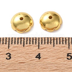 Brass Bead Caps&nbsp;KK-C260-13G
