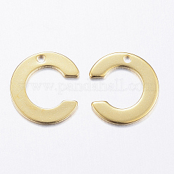 304 Stainless Steel Charms&nbsp;LS-X-STAS-P141-C