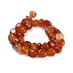 Natural Carnelian Beads Strands&nbsp;G-L595-B01-01