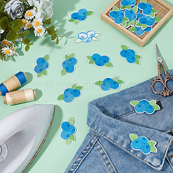 24Pcs Blueberry Computerized Embroidery Cloth Iron On/Sew On Patches&nbsp;PATC-BC0001-23