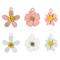 24Pcs 6 Style Spray Painted Alloy Pendants&nbsp;FIND-LS0001-70