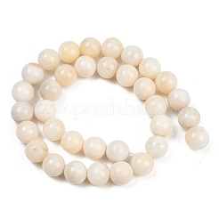 Natural White Jade Beads Strands&nbsp;G-F792-C01-02