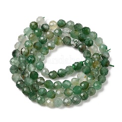 Natural African Jade Beads Strands&nbsp;G-K366-C03-4mm