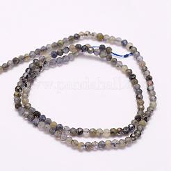 Natural Cordierite/Iolite/Dichroite Beads Strands&nbsp;G-F509-39-3mm