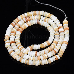 Natural Freshwater Shell Beads Strands&nbsp;X-SHEL-S278-067G