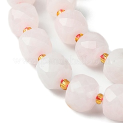 Natural Rose Quartz Beads Strands&nbsp;G-Q010-A10-01