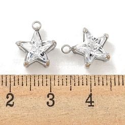 304 Stainless Steel Cubic Zirconia Pendants&nbsp;STAS-L278-008P
