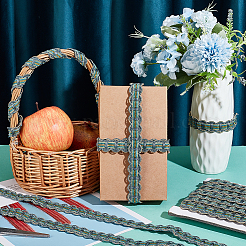 Polyester Curtain Lace Trimmer Ribbon&nbsp;DIY-WH0400-02D