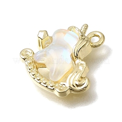 Brass Resin Pendants&nbsp;RE-CBAE379-14LG