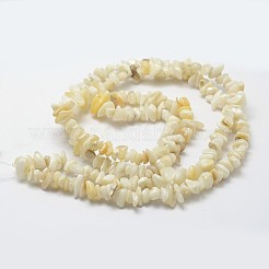 Natural Shell Beads Strands&nbsp;G-F328-45