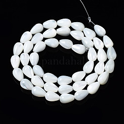 Natural Trochid Shell/Trochus Shell Beads Strands&nbsp;SSHEL-S266-022