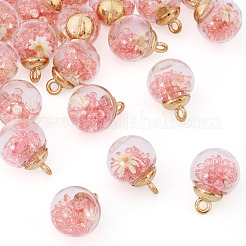 20Pcs Transparent Glass Globe Pendants&nbsp;GLAA-TA0003-57A