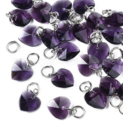 Faceted Transparent Glass Charms&nbsp;GLAA-T024-04