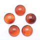 Natural Carnelian Cabochons&nbsp;G-P393-R41-12mm-1