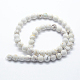 Natural Magnesite Beads Strands&nbsp;G-I199-27-12mm-2