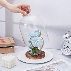 Glass Cloche Dome Covers&nbsp;AJEW-WH0460-033B