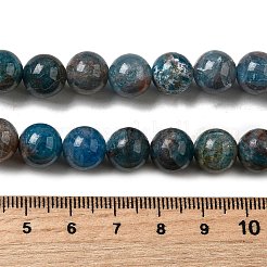 Natural Apatite Beads Strands&nbsp;G-D340-A02-10mm