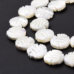 Natural Trochid Shell Beads Strands&nbsp;SSHEL-G023-16B