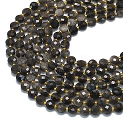 Natural Silver Sheen Obsidian Beads Strands&nbsp;G-K389-B79-01
