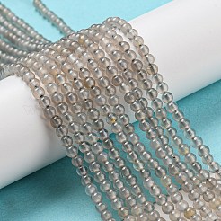 Natural Grey Agate Beads Strands&nbsp;G-Q004-B01-02