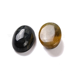 Natural Tiger Eye Cabochons&nbsp;G-B085-06B-04