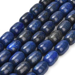 Natural Lapis Lazuli Beads Strands&nbsp;G-H319-A01-02