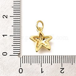 Brass Micro Pave Clear Cubic Zirconia Pendants&nbsp;LS-KK-Q040-01F-G